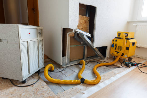 Best Air Quality Testing for Mold Spores  in Cedaredge, CO