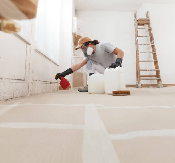  Cedaredge, CO Mold Removal Pros